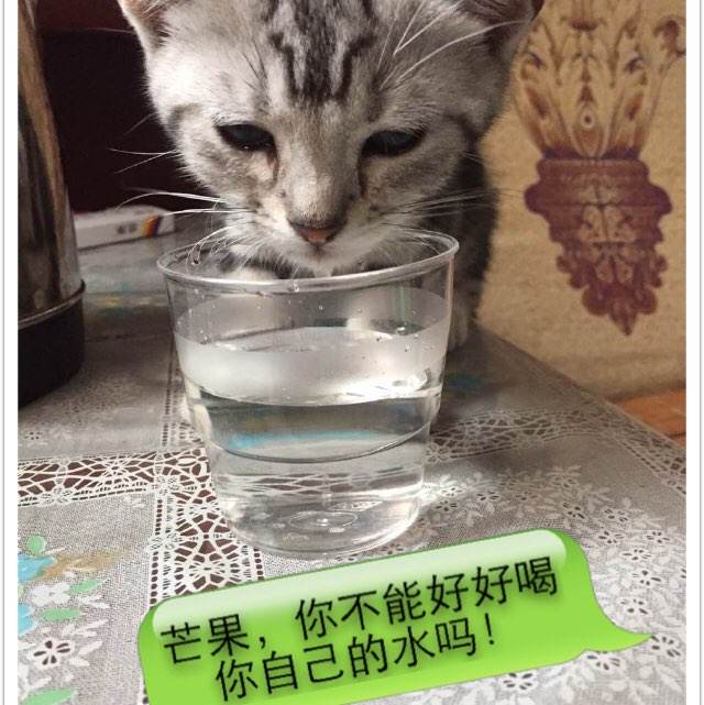 房产证怎么变更成不动产证